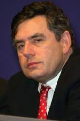 brown3.jpg